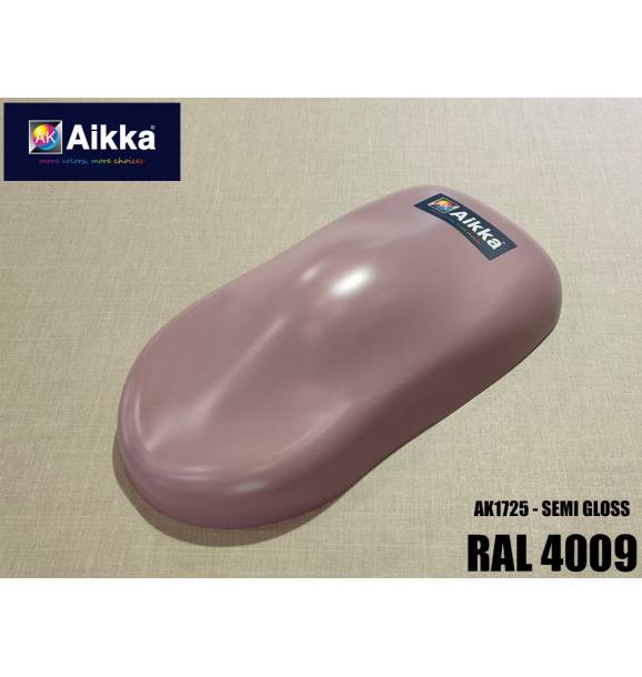 RAL4009
