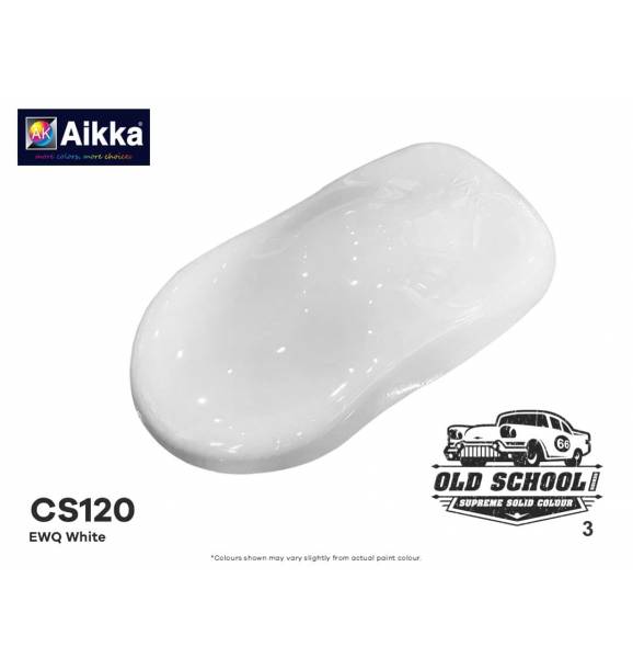 CS120