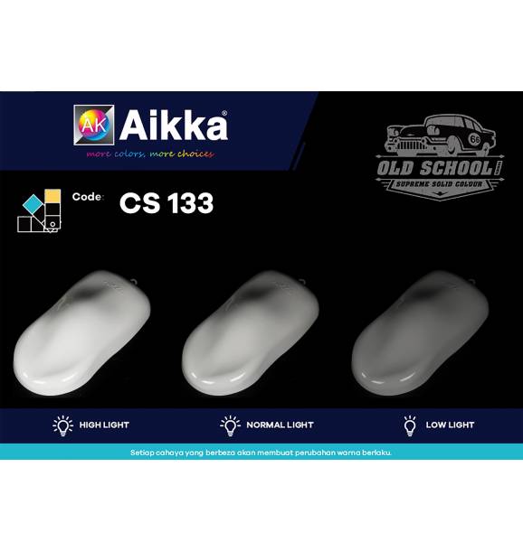 CS133