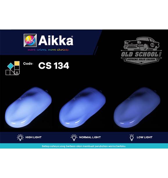 CS134
