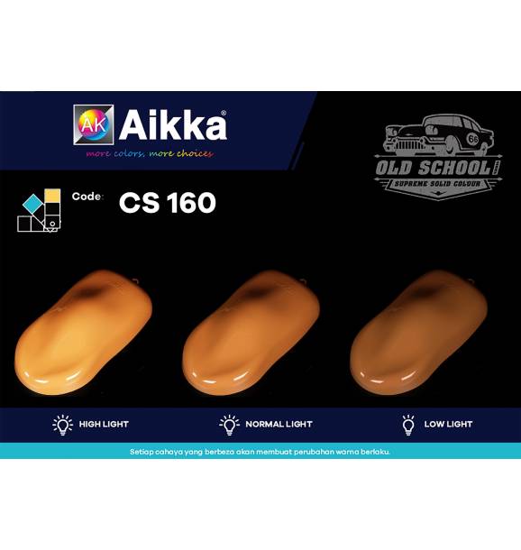 CS160