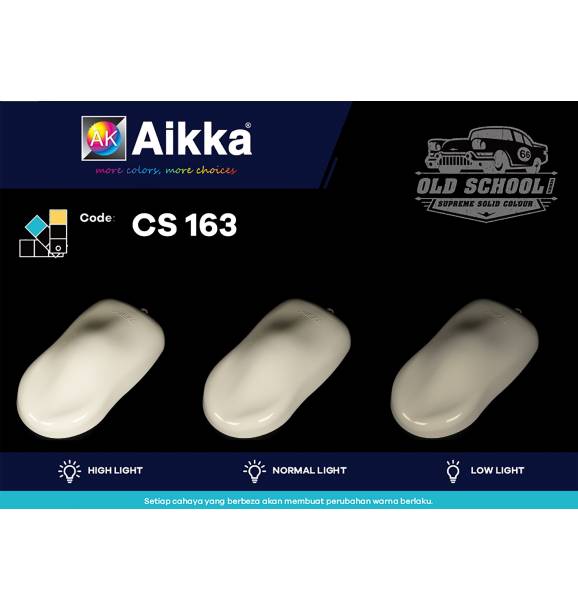 CS163