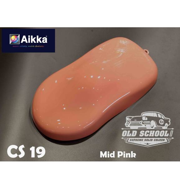 CS19a