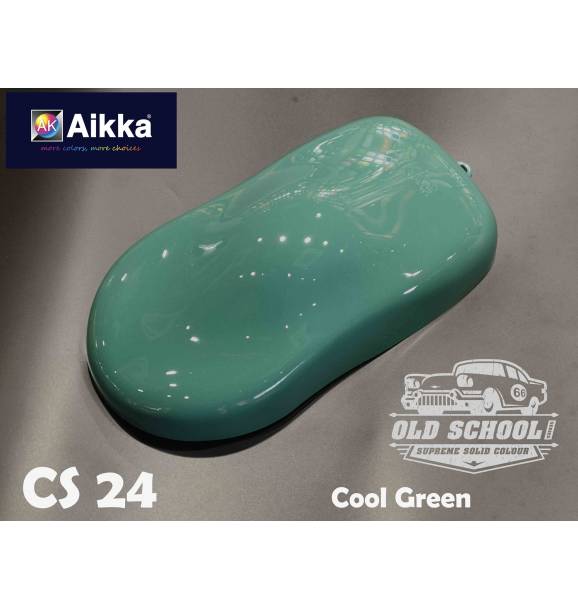 CS24a