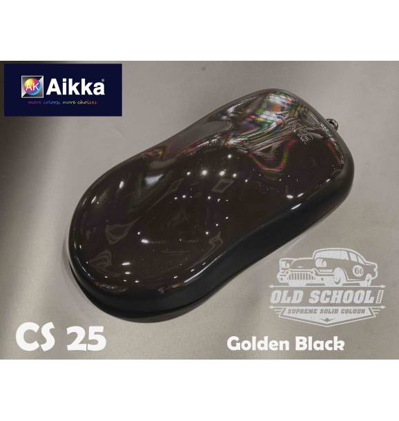 CS25a