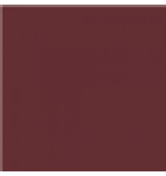 C06