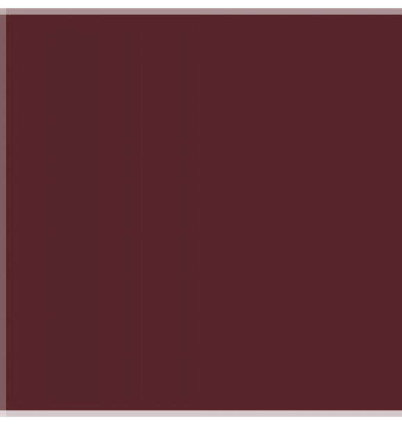 3T3
